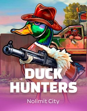 Duck Hunters game cover